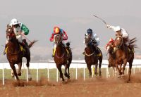 Israel Phototour Cup