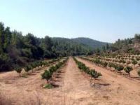 Israel Travel Guide