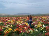 Israel Travel Guide