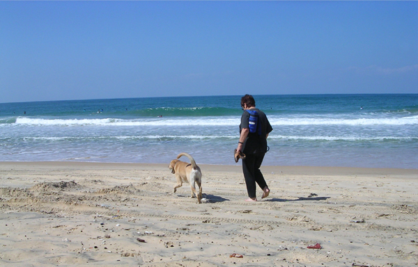 Israel Travel Guide