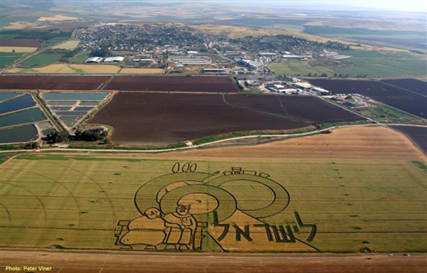 Israel Travel Guide